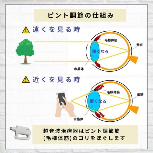 ピント調節の仕組み
